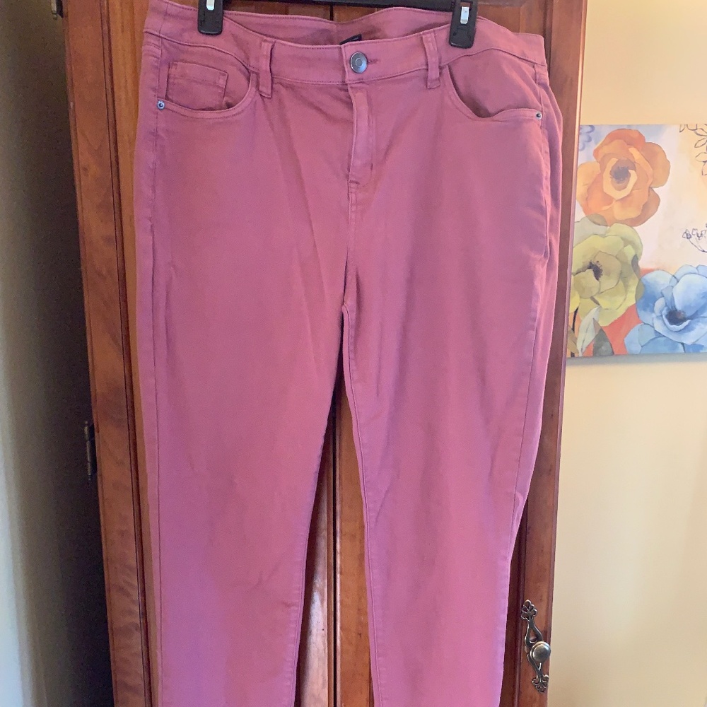 Size 16 Venezia Rose Jean/Pant